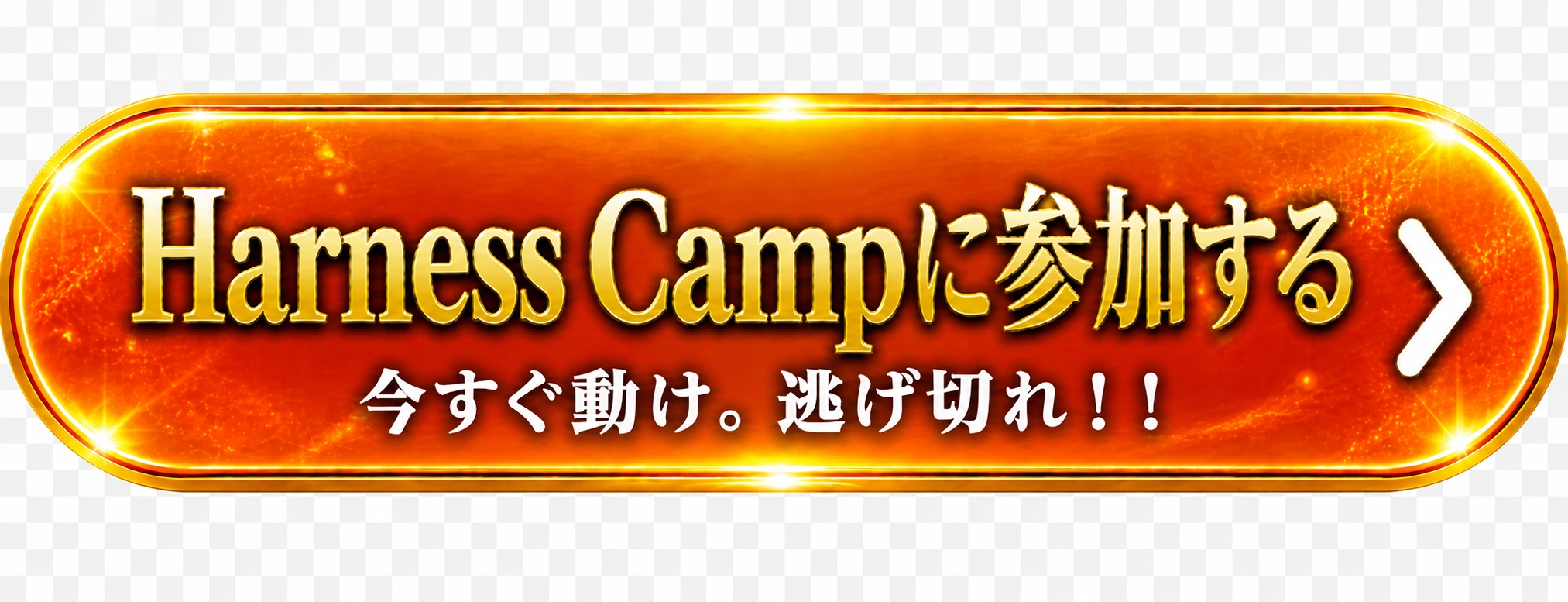 Harness Campに参加する。今すぐ動け、逃げ切れ。
